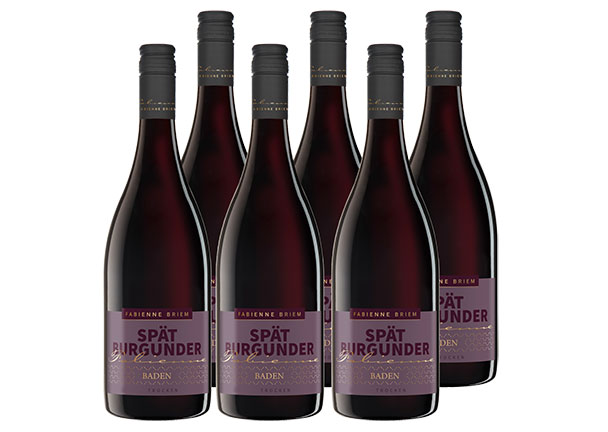 Baden Spätburgunder Rotwein, 6 Flaschen á 0,75 l
