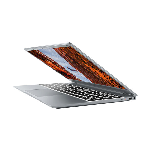 39,6 cm (15,6“) Notebook E15411 (MD64130)