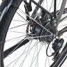 Trekking E-Bike Entdecker 1.3 Premium, Herren