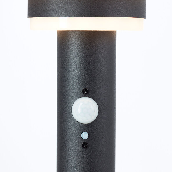 LED-Solar-Wegeleuchte Garvina mit Bewegungsmelder, 85 cm