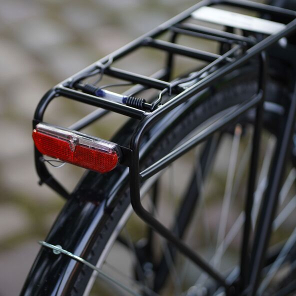 E-Bike Geniesser 1.0 28"