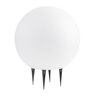 Smarte LED-Outdoor-Leuchtkugel Calluna Solar ⦰ 35 cm, white+color 