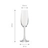 Sekt-/Champagnerkelche Daily, 210 ml, 6er Set
