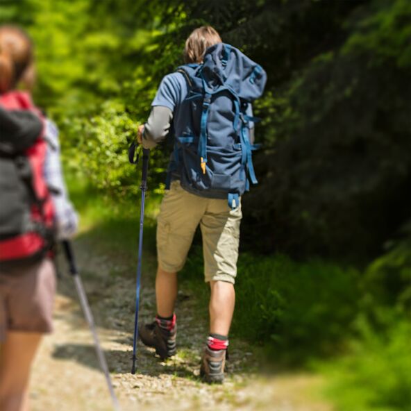 Faltbarer Wanderstock, blau