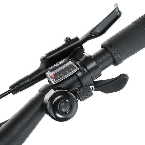 Trekking E-Bike VIATOR 4.2I 522, 55 cm