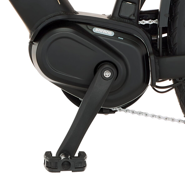 Trekking E-Bike VIATOR 4.2I 522, 55 cm