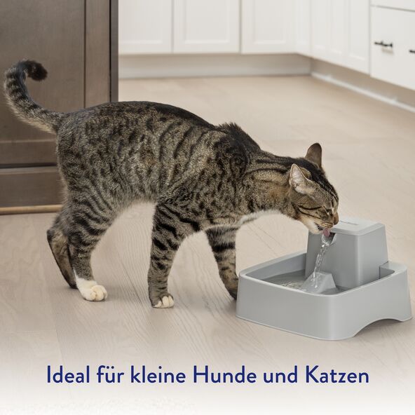 Heller Trinkbrunnen Drinkwell für Hunde und Katzen aus Kunststoff mit abnehmbarem Deckel und Wasserlauf, der in ein Becken fließt.
