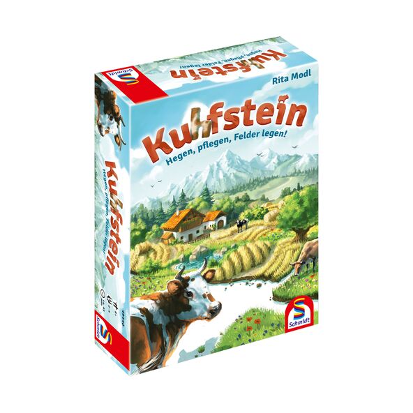 Familienspiel Kuhfstein