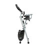 Heimtrainer X-Bike