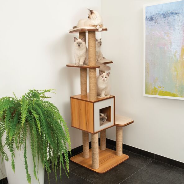 Kratzbaum High Base XL