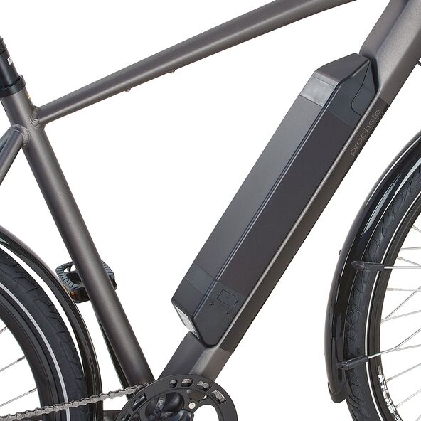 Trekking E-Bike Entdecker 1.3 Premium, Herren