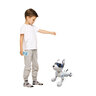 Power Puppy, Roboterhund mit Programmierfunktion
