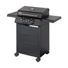 Elektrogrill eCrave 2