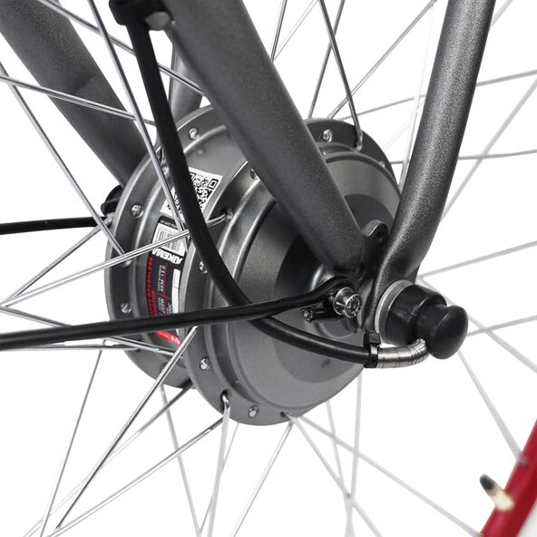 28" City-E-Bike Rosendaal 3 Lady, grau