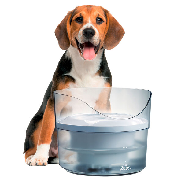 Trinkbrunnen Fresh & Clear mit Spritzschutz
