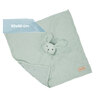 Baby Geschenkset Kuscheln und Spielen, grün: Eine grüne Geschenkbox mit einem Plüschtier, einer Rassel, einem Schnuffeltuch und einem Baby-Spielzeug.