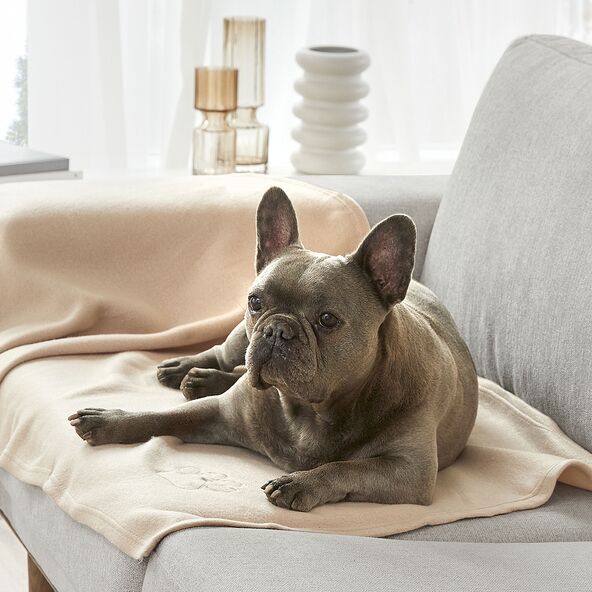 "Beige Fleece-Heimtierdecke mit Pfotenstickerei, die auf einem weißen Hintergrund präsentiert wird. Die Decke ist rechteckig und scheint weich und flauschig zu sein.
"