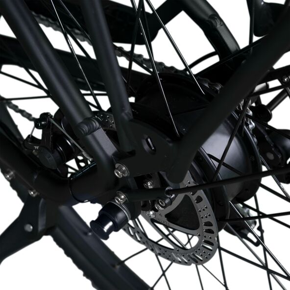 Trekking E-Bike TMR 7030