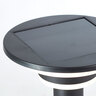 LED-Solar-Wegeleuchte Garvina mit Bewegungsmelder, 85 cm