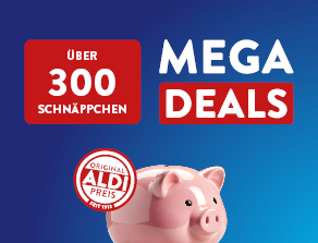 DIEMAUS Vogelhaus mit Kamera ALDI