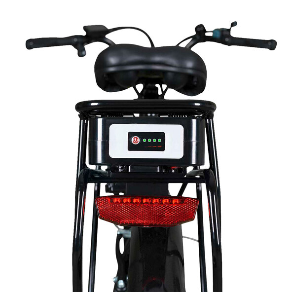 City-E-Bike ECR 3000