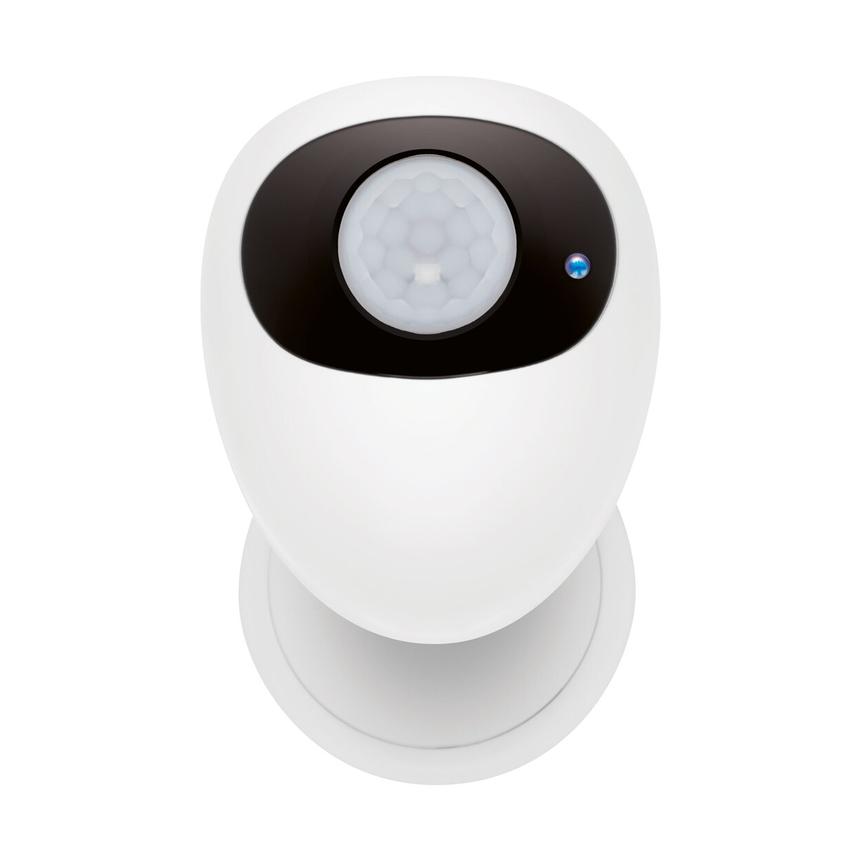 Deltaco Bewegungsmelder, WiFi 2.4 GHz ALDI