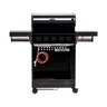 Gasgrill S330G