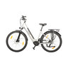 Trekking E-Bike TLM 709 mit Mittelmotor