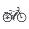 Trekking-E-Bike, Herren