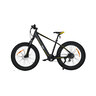 Mountain FAT E-Bike MHFR 7100