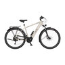 E-Bike Trekking in silbergrauer Farbe, Rahmenhöhe 55 cm, mit Gepäckträger, Schutzblechen und integriertem Akku am Unterrohr.