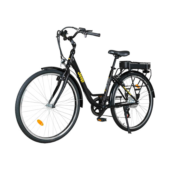 City-E-Bike ECR 3000