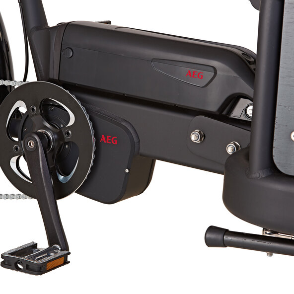 Cargo E-Bike Plus 22 ETL 10 ComfortDrive