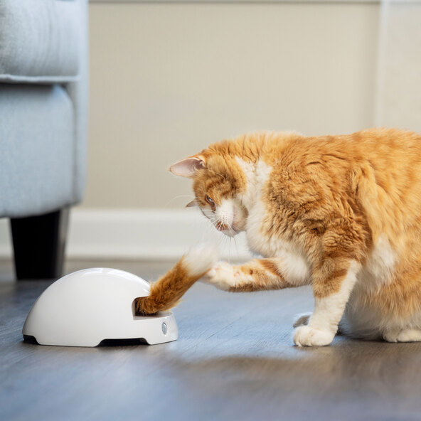 Ein automatisches Katzenspielzeug Fox Den in Form eines braunen Fuchsbaues mit einem Loch, aus dem eine Feder ragt, um Katzen zum Spielen zu animieren.
