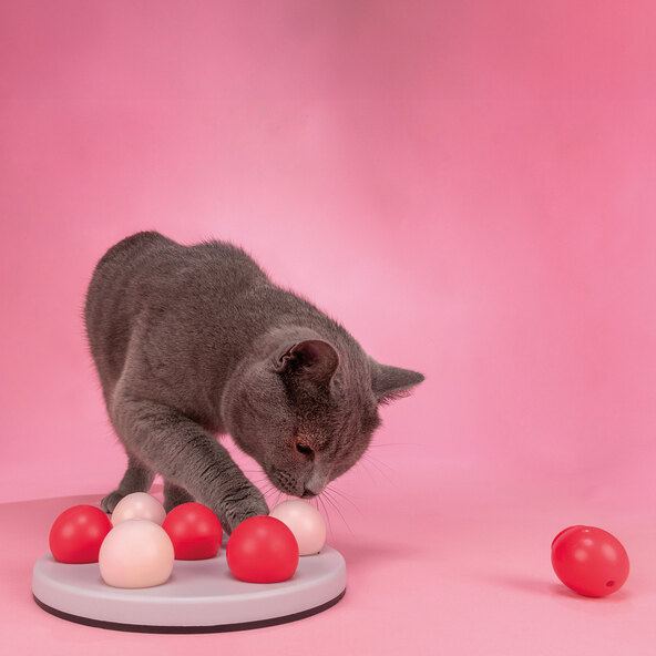 Strategiespiel Jolly Cups für Katzen, ø 20 cm