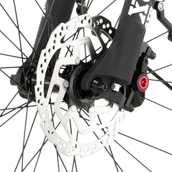 28" (43 cm) E-Bike Cita 8.0