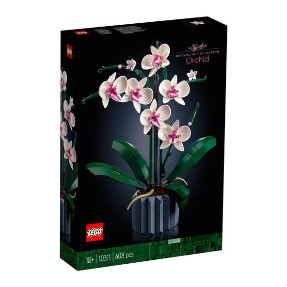 Icons Orchidee 10311