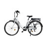 City-E-Bike ECR 3001