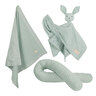 Baby Geschenkset Kuscheln und Spielen, grün: Ein grüner Karton mit Kuscheltier, Schnullertuch, Rassel und Söckchen, arrangiert für ein Babygeschenk.