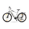 Trekking E-Bike TMM 709 mit Mittelmotor