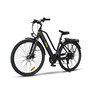 Trekking E-Bike TLR 7010