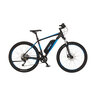 E-Mountainbike MONTIS 2.1 418, 48 cm Rahmenhöhe