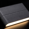 LED-Außenwandleuchte Telesto, 2-flammig
