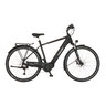 Trekking E-Bike VIATOR 4.2I 522, 55 cm