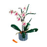 Icons Orchidee 10311