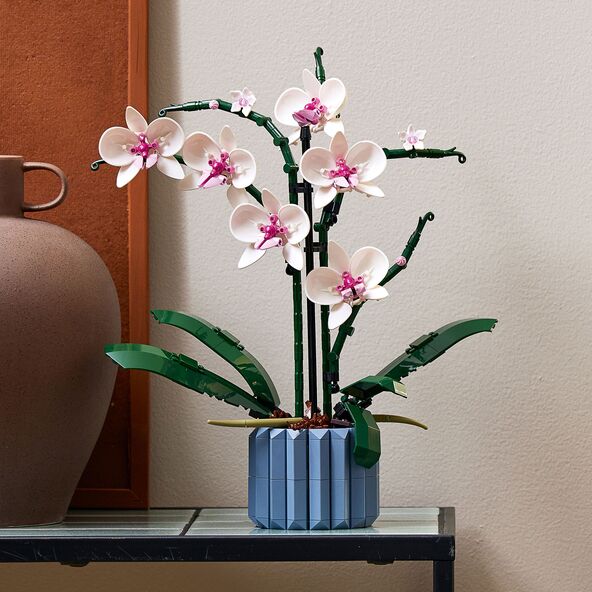 Icons Orchidee 10311