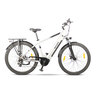Trekking E-Bike TMM 709 mit Mittelmotor
