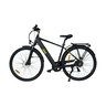 Trekking E-Bike TMR 7000