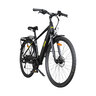 Trekking E-Bike TMR 7000