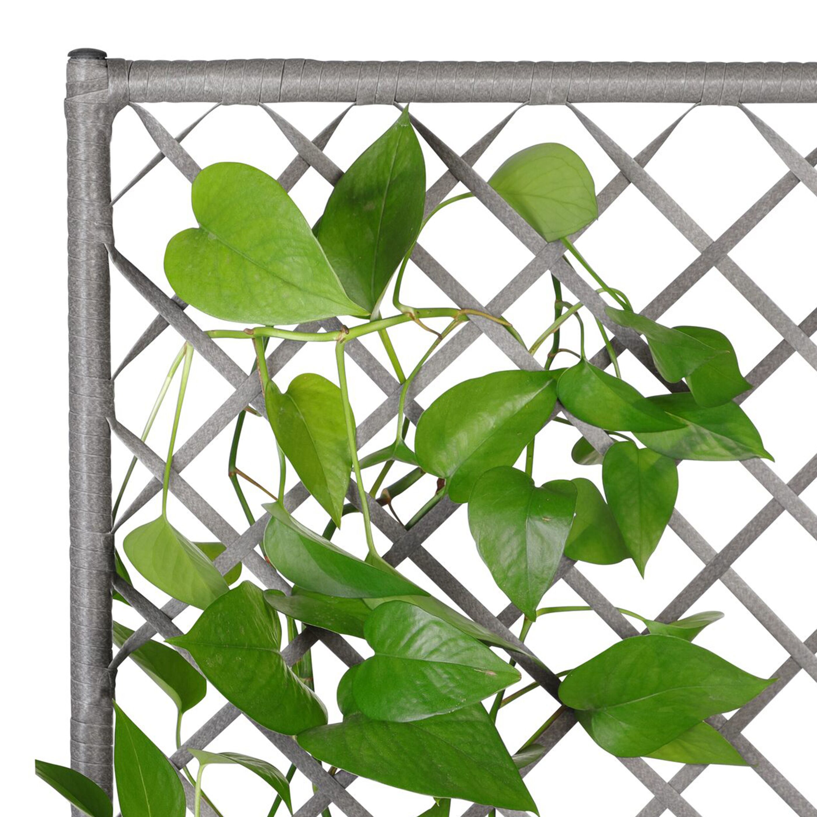 CASARIA® Blumenkasten Polyrattan ALDI